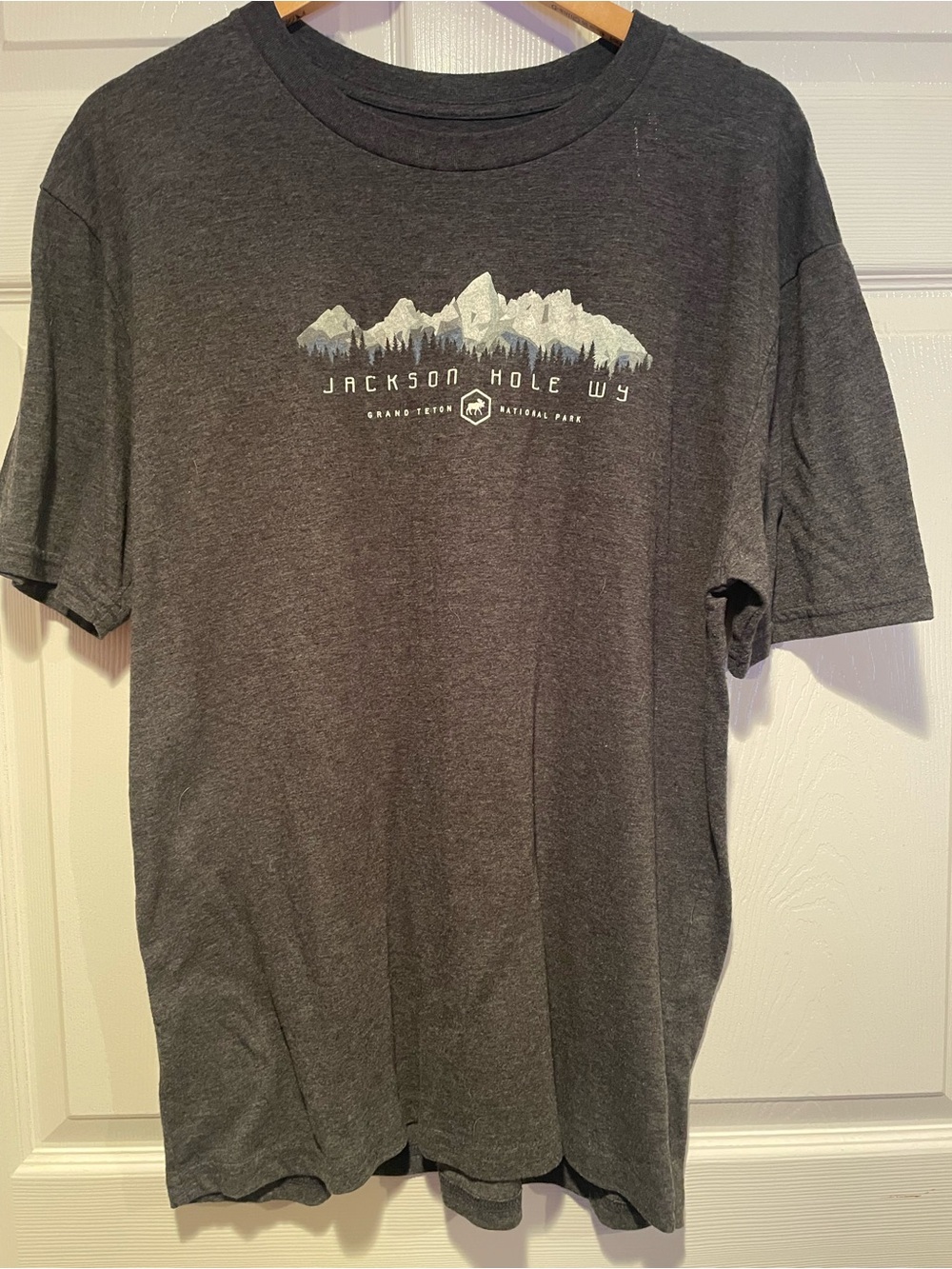 Blue 84 Men's Gray Jackson Hole WY Mountain Graphic Tee